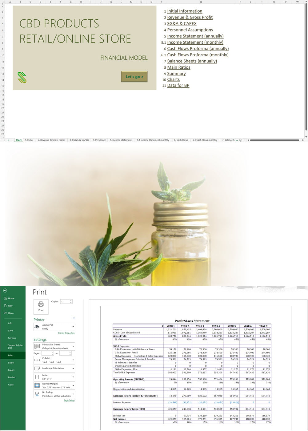 CBD Products Retail/Online Store Financial Model