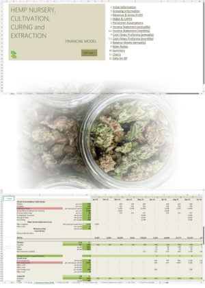 Hemp Nursery Cultivation Curing Extraction Financial Model