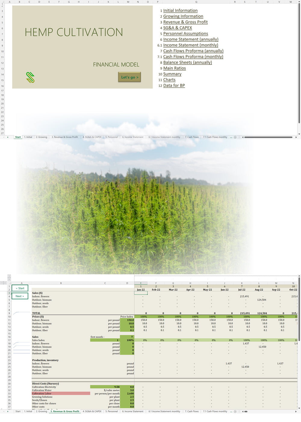 Hemp Cultivation Financial Model
