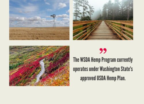 Washington Hemp Industry