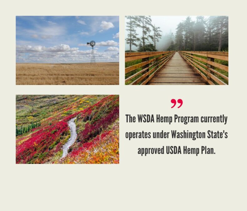 Washington Hemp Industry
