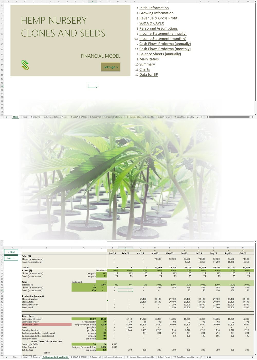 Hemp Nursery Financial Model