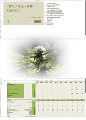 Hemp Services Financial Model