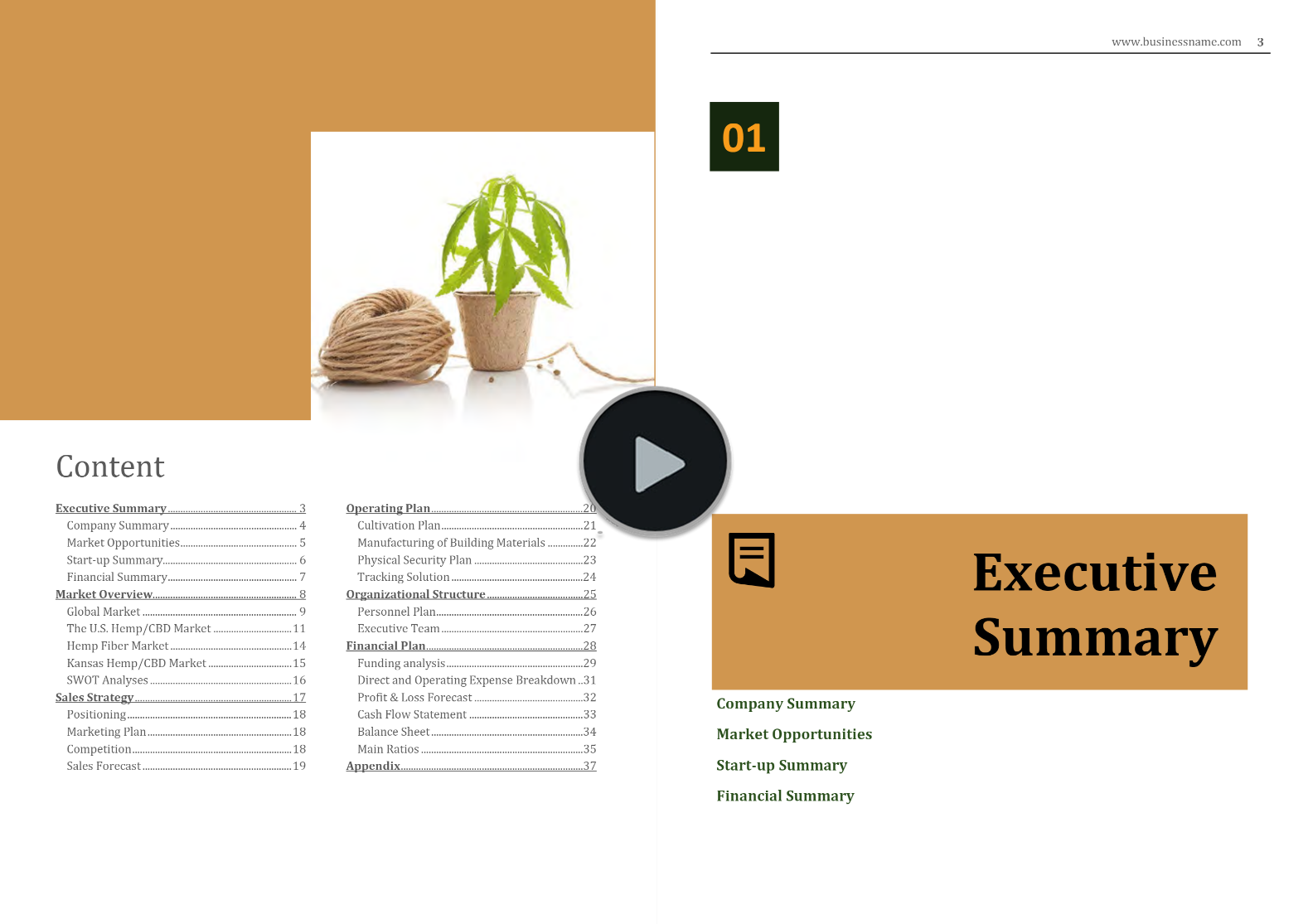 Kansas Hemp Industry