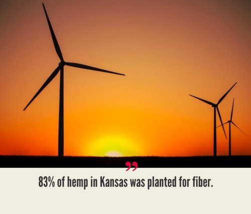 Kansas Hemp Industry