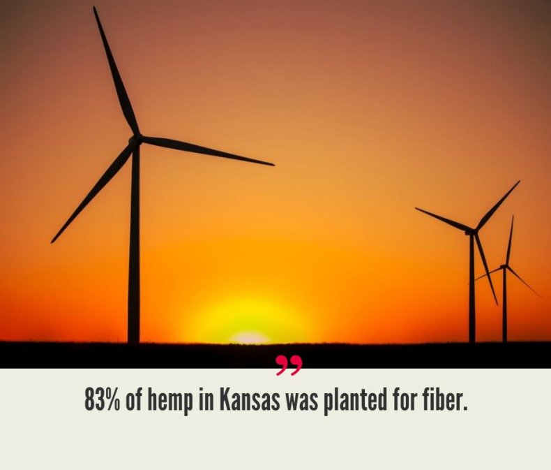 Kansas Hemp Industry