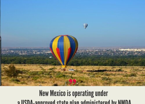 New Mexico Hemp Industry
