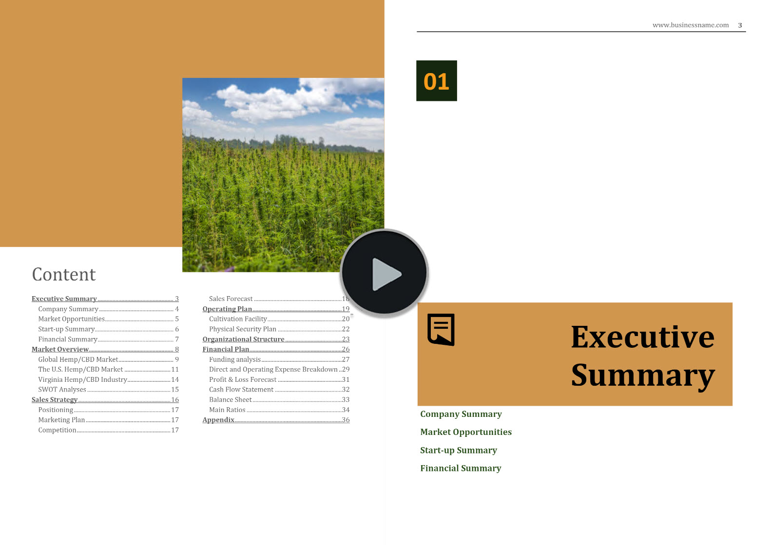 Virginia Hemp Industry