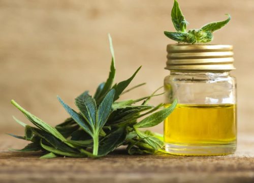 How Much Does it Cost to Open a CBD Store?