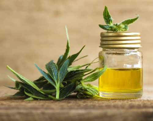 How Much Does it Cost to Open a CBD Store?