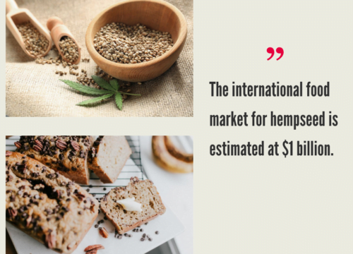 Hemp Grain Market