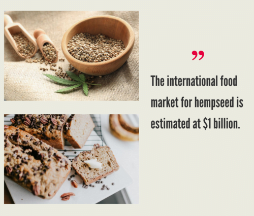 Hemp Grain Market