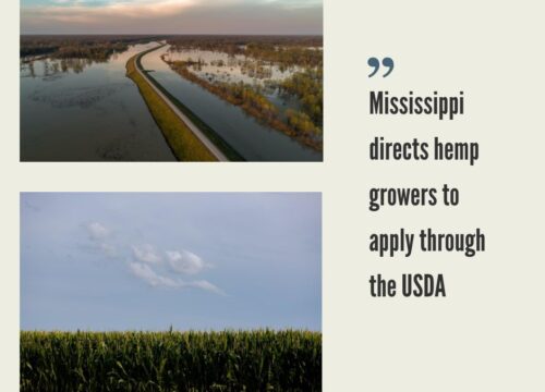 Mississippi Hemp Industry