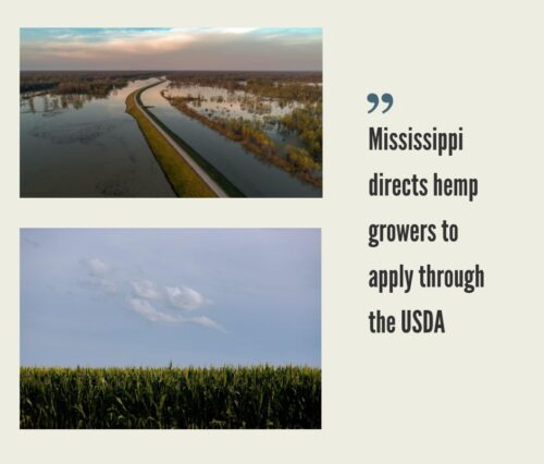 Mississippi Hemp Industry