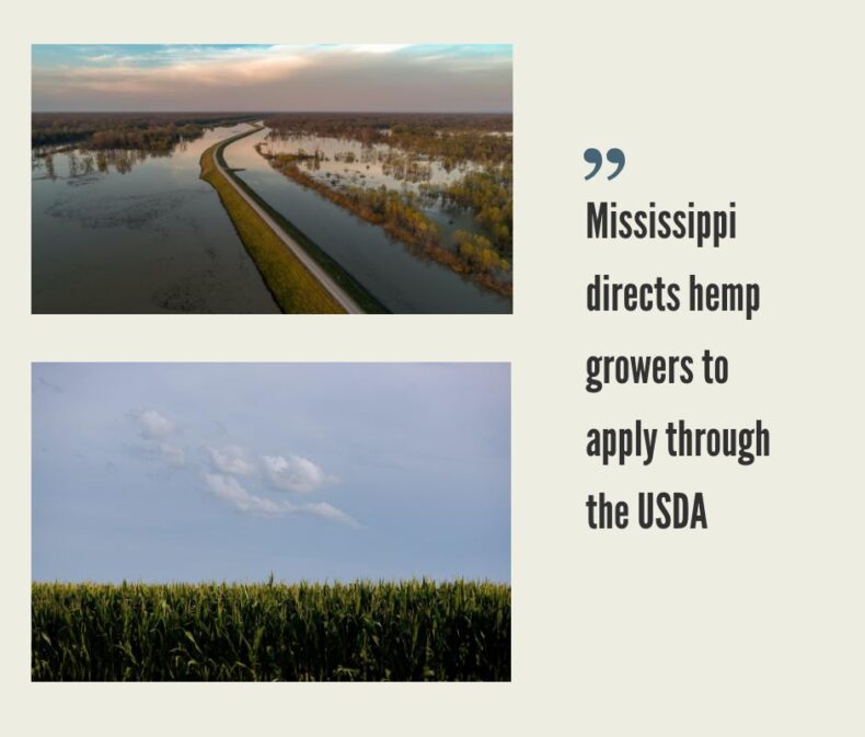 Mississippi Hemp Industry
