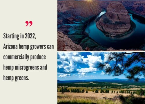 Arizona Hemp Industry
