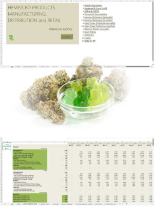 Hemp CBD Manufacturing Distribution Retail Financial Model