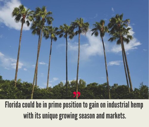 Florida Hemp Industry