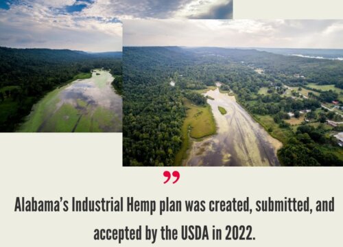 Alabama Hemp Industry