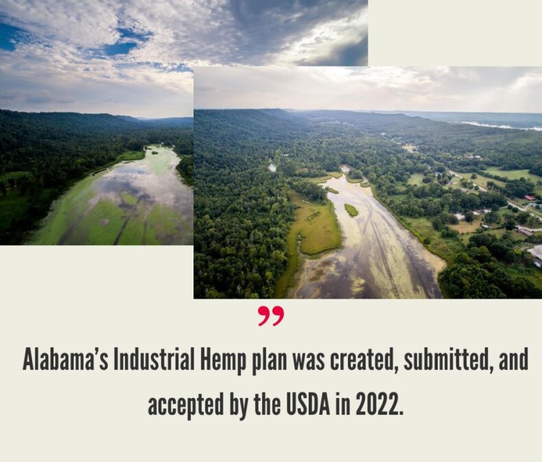 Alabama Hemp Industry