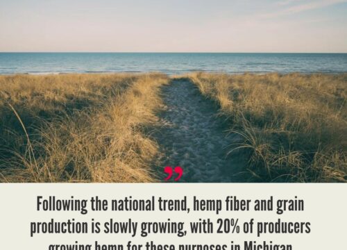 Michigan Hemp Industry