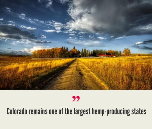 Colorado Hemp Industry