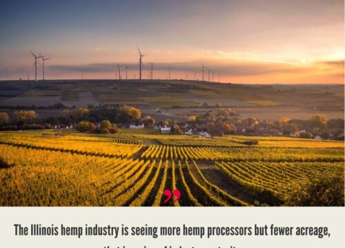 Illinois Hemp Industry