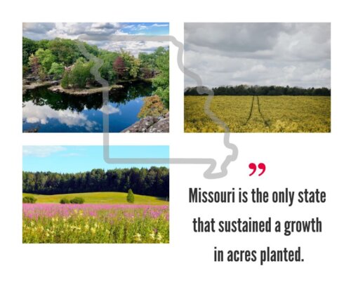 Missouri Hemp Industry