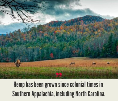 North Carolina Hemp Industry