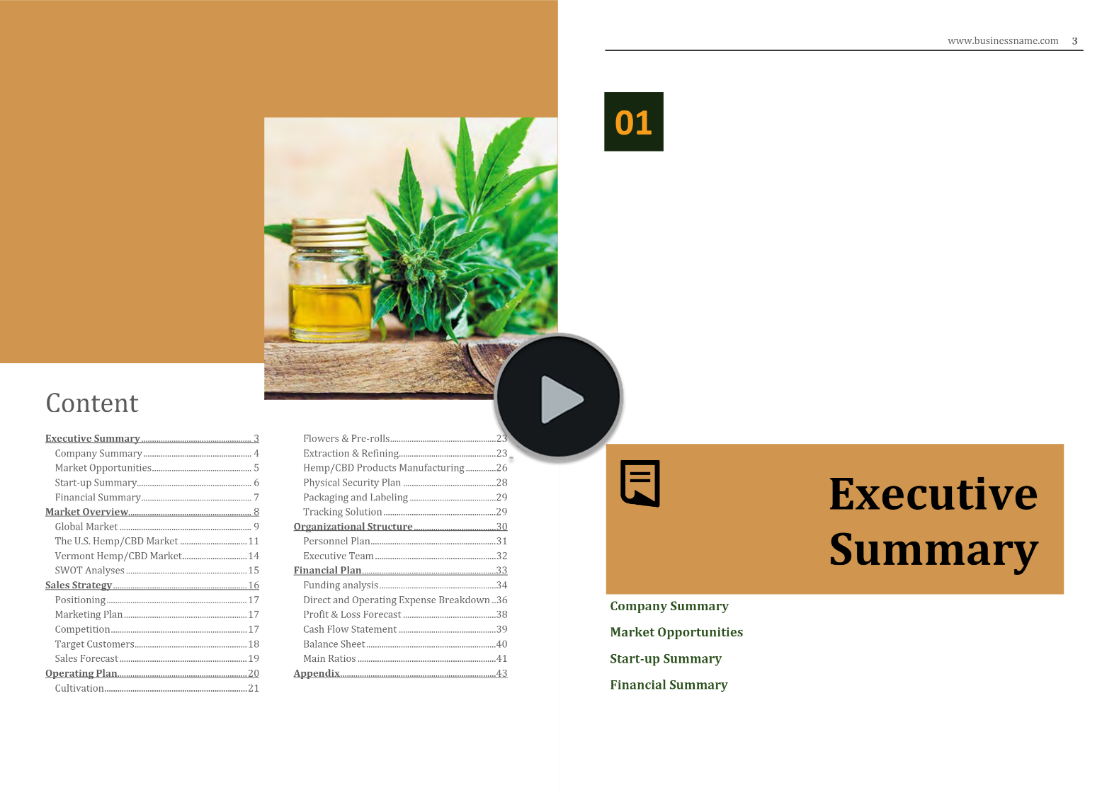 Vermont Hemp Industry