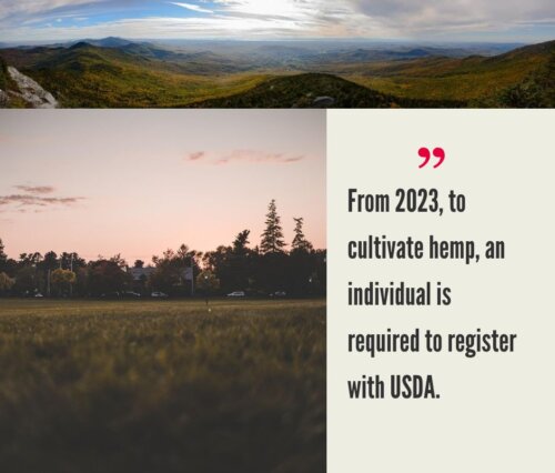 Vermont Hemp Industry