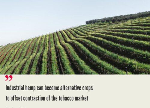 Africa Hemp Market