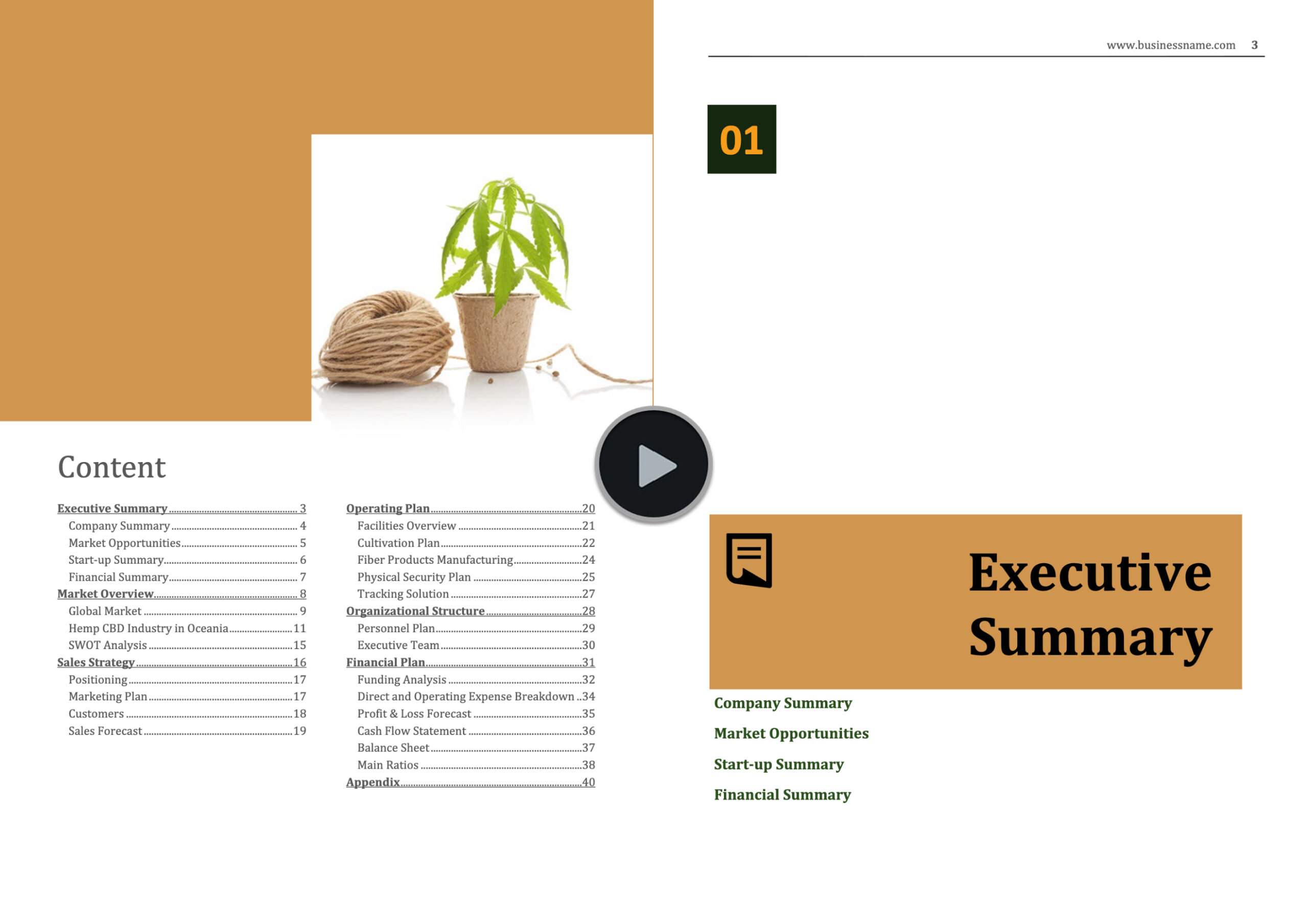 Australia Hemp Fibre Growing and Manufacturing Business Plan