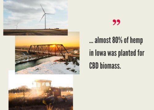 Iowa Hemp Industry