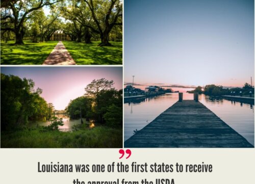 Louisiana Hemp Industry