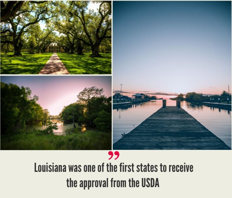 Louisiana Hemp Industry