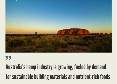Australian Hemp Market