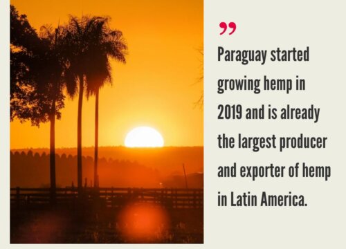 Paraguay Hemp Industry