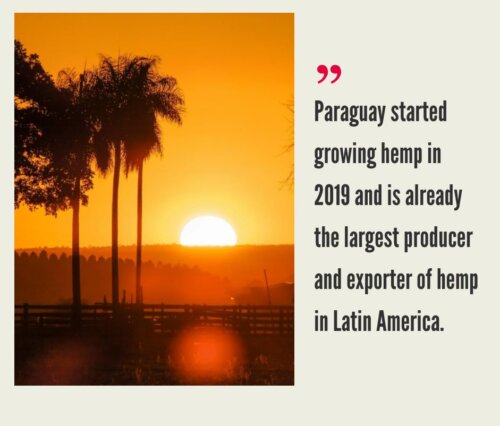 Paraguay Hemp CBD Industry