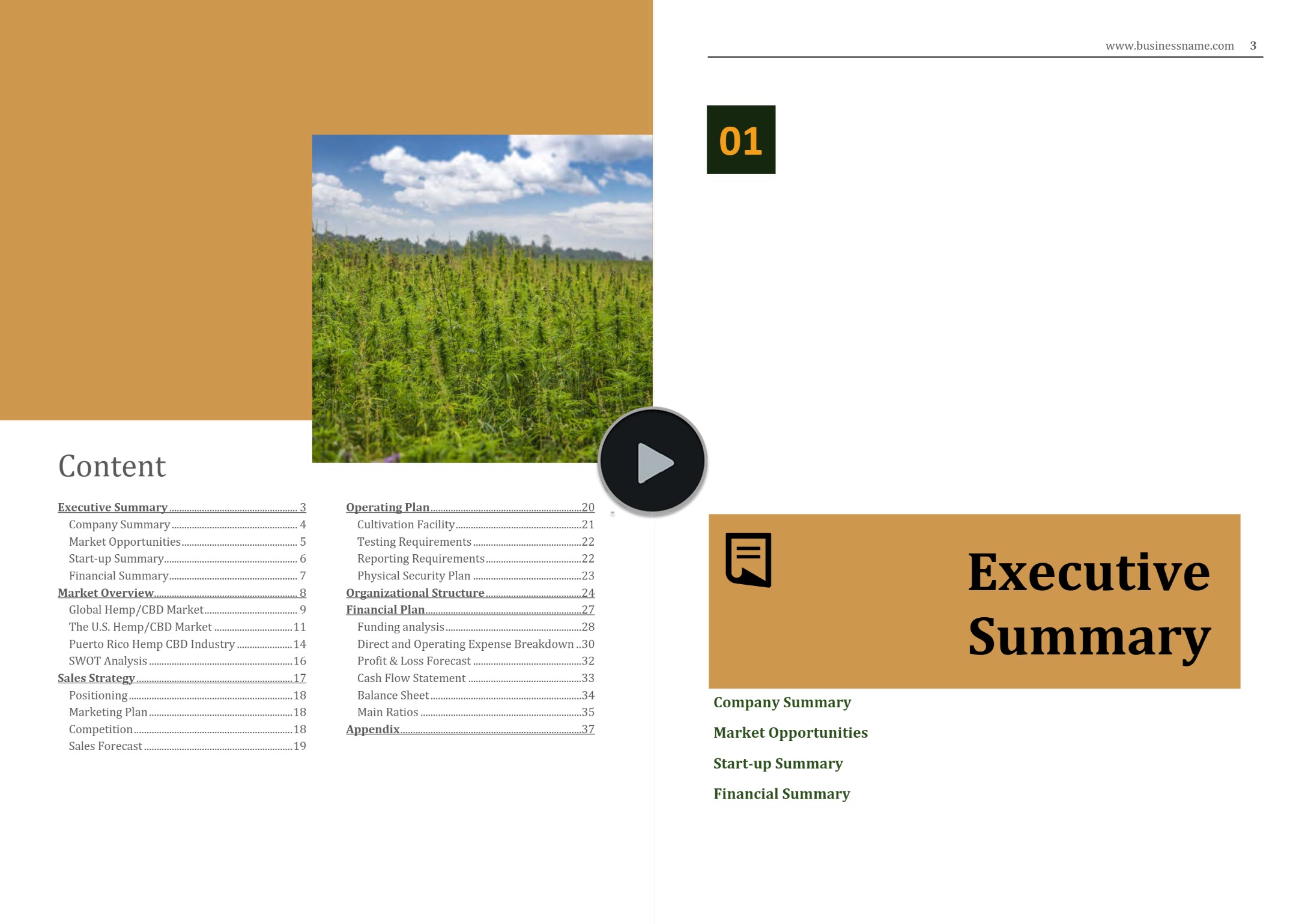 Puerto Rico Hemp Industry