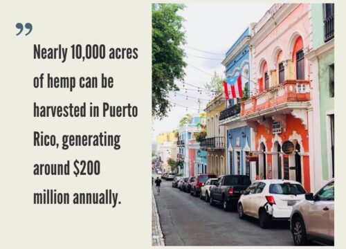 Puerto Rico Hemp Industry