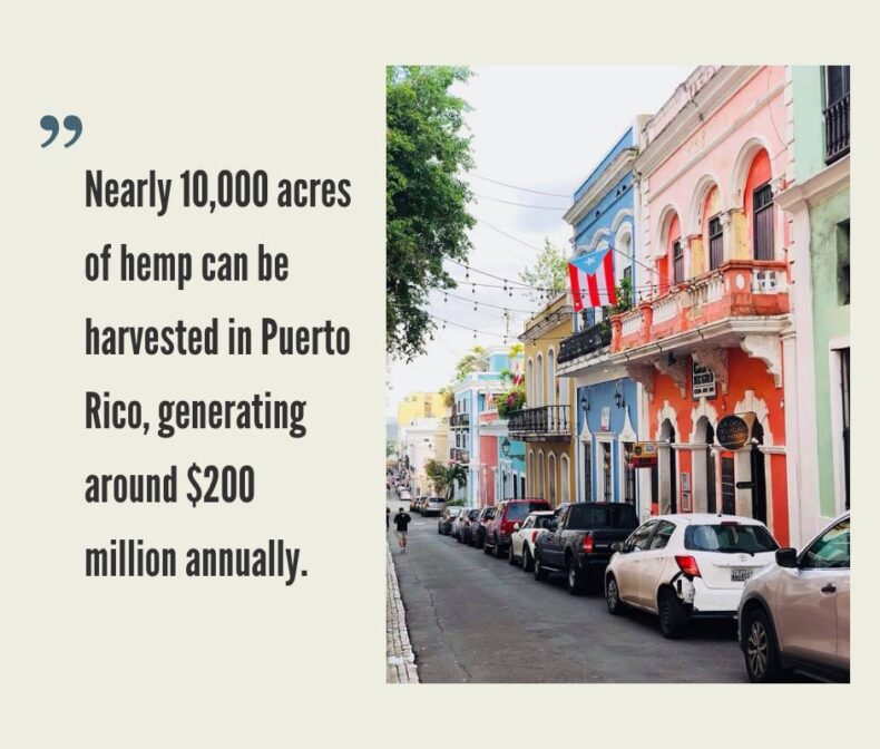 Puerto Rico Hemp Industry