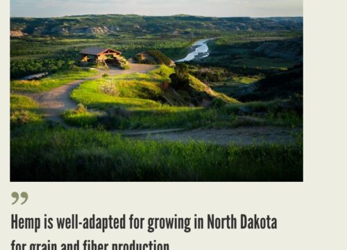 North Dakota Hemp Industry