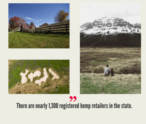 West Virginia Hemp Industry