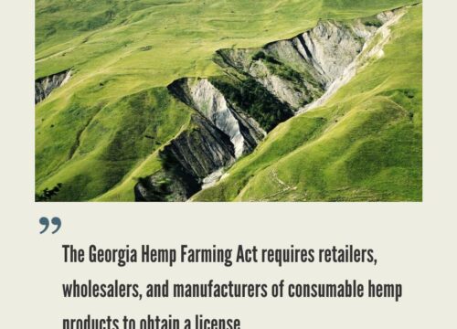 Georgia Hemp Industry