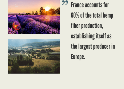 French Hemp CBD Industry