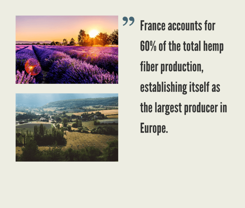 French Hemp CBD Industry