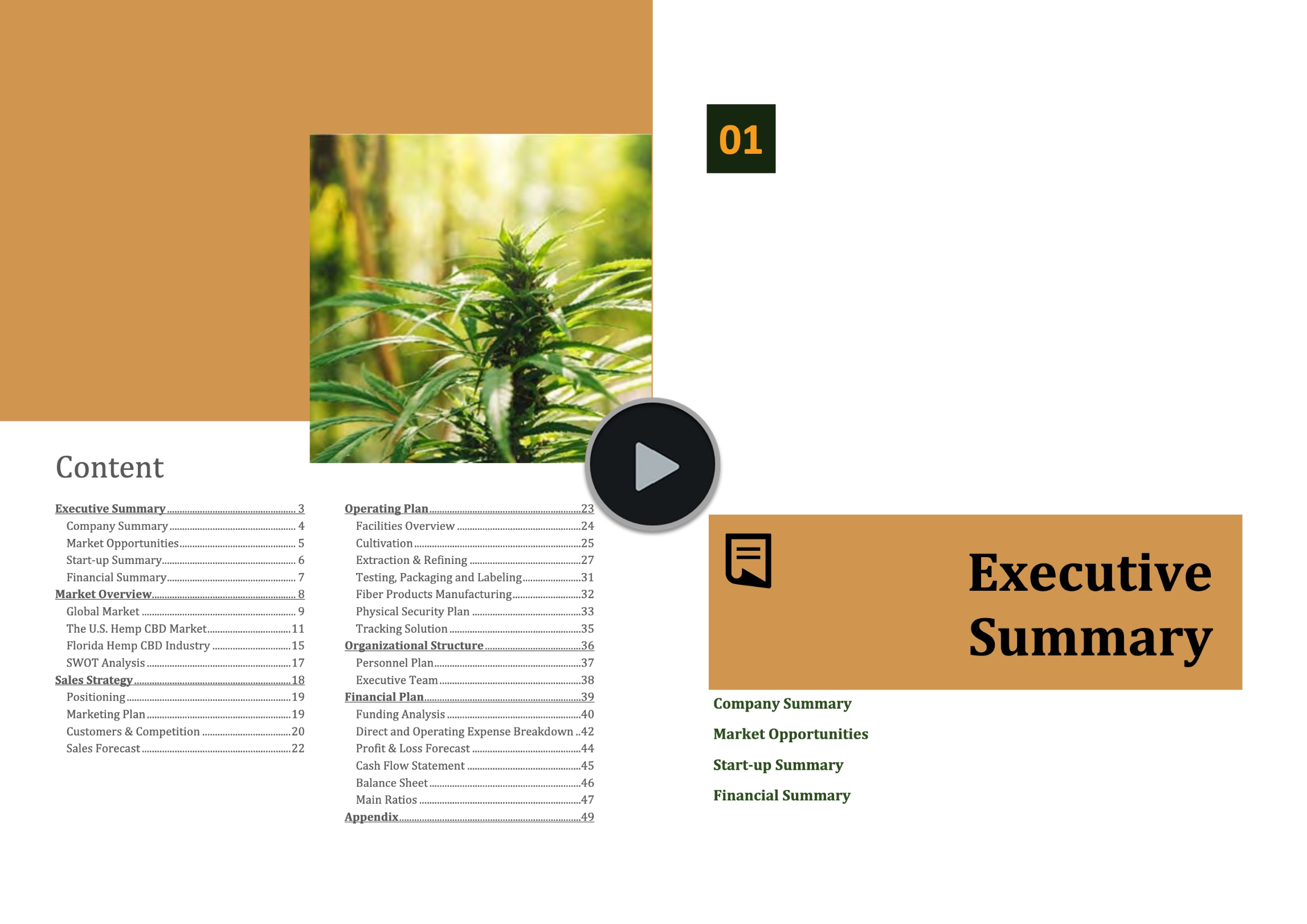 Hemp Cultivation CBD Oil Extraction Business Plan