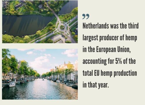 Hemp CBD Market in the Netherlands