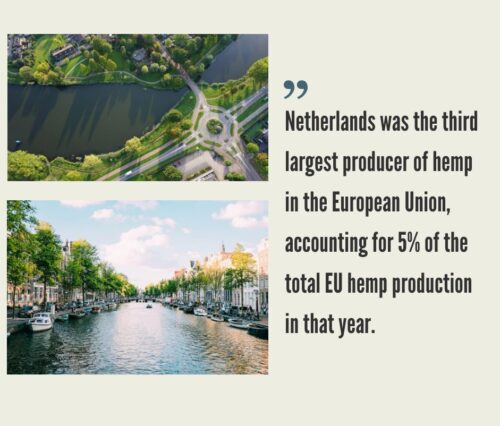 Hemp CBD Market in the Netherlands
